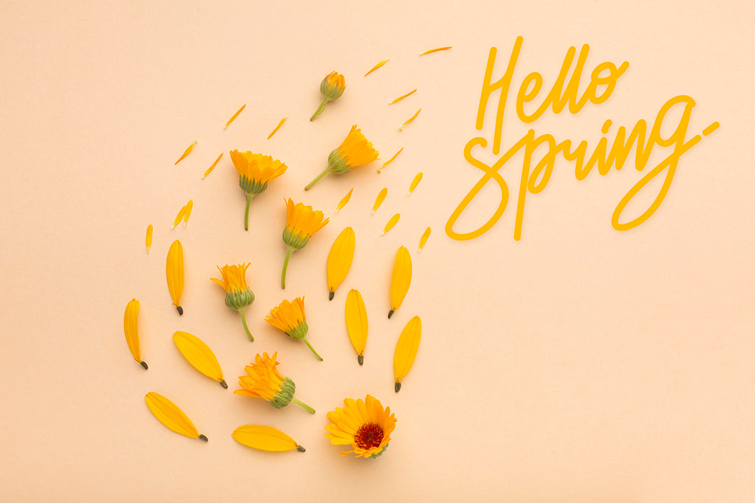 🌻🌺 Spring Festivals Around the World 🌸🌼